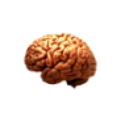 Second Brain